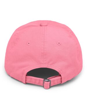 follow the program aap original aapstore.co logo distressed cap