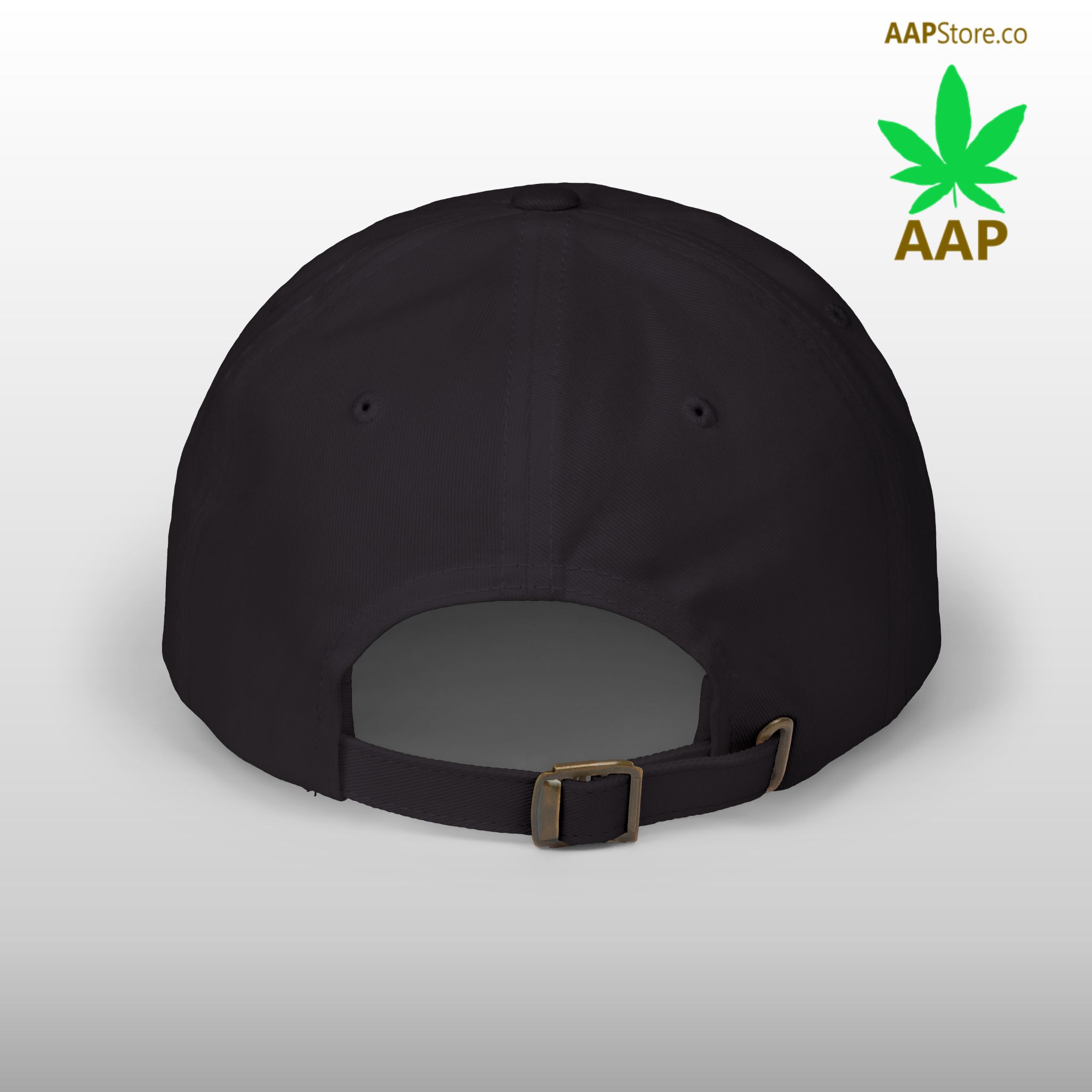 follow the program aap original aapstore.co logo classic dad cap