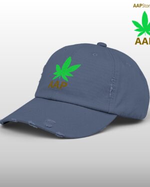 follow the program aap original aapstore.co logo distressed cap