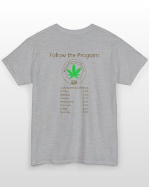 follow the program aap original daily 420 2 side tee