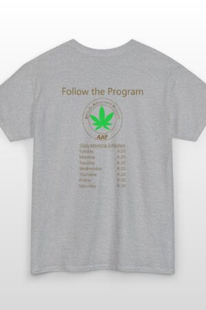 follow the program aap original daily 420 2 side tee