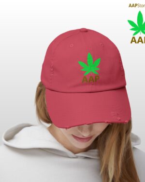 follow the program aap original aapstore.co logo distressed cap