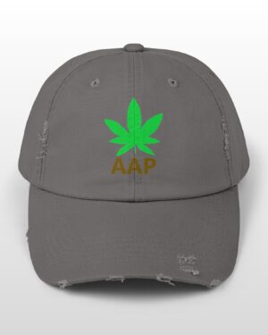 follow the program aap original logo distressed cap