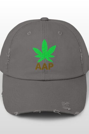 follow the program aap original logo distressed cap