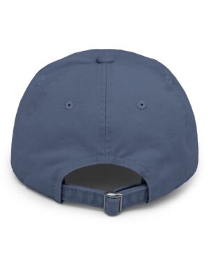 follow the program aap original aapstore.co logo distressed cap