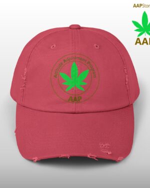 follow the program aap original distressed stoner cap