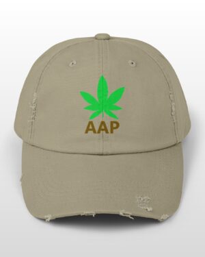 follow the program aap original logo distressed cap