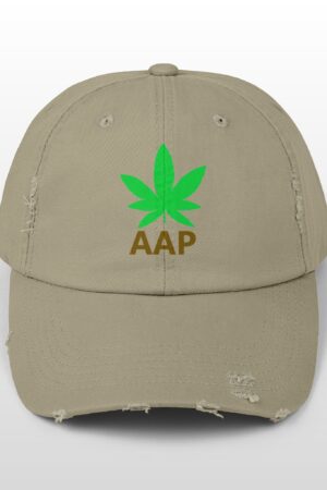 follow the program aap original logo distressed cap