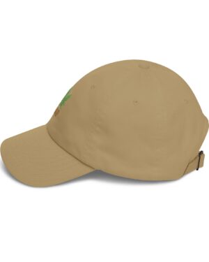 follow the program aap original aapstore.co logo classic dad cap