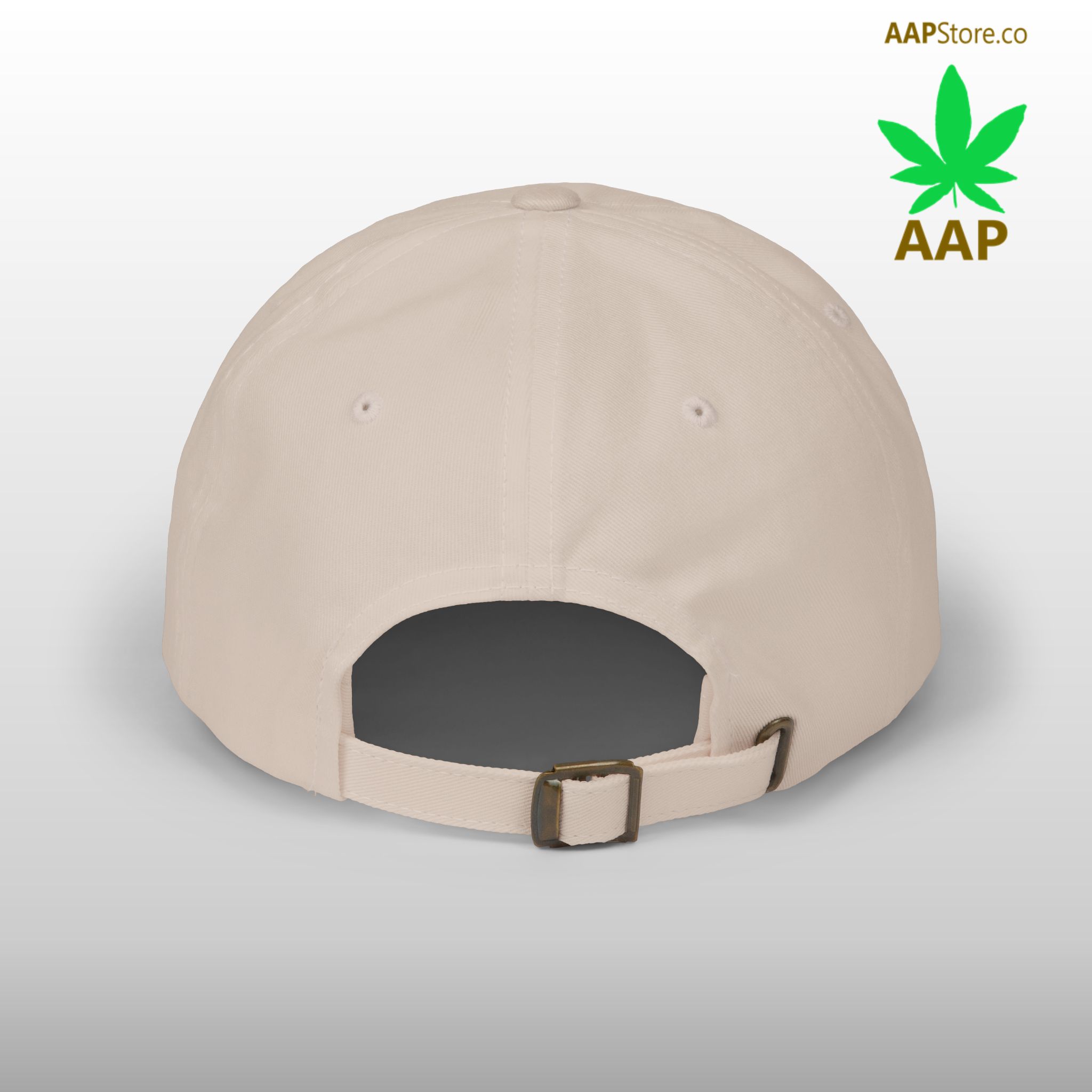follow the program aap original aapstore.co logo classic dad cap