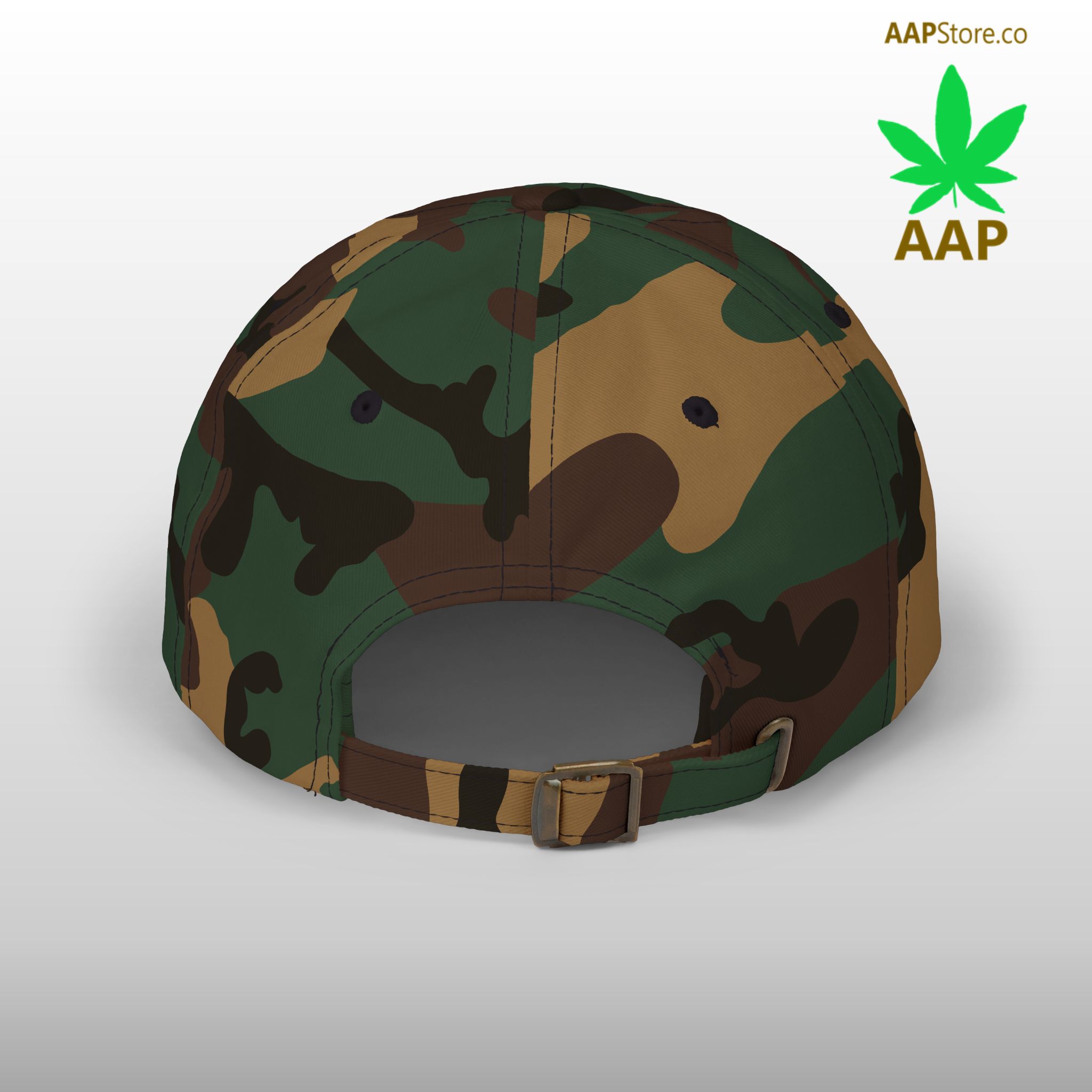 follow the program aap original aapstore.co logo classic dad cap