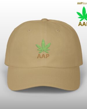 follow the program aap original aapstore.co logo classic dad cap