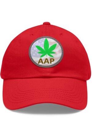 follow the program aap original brand freedom logo hat