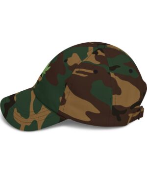 follow the program aap original aapstore.co logo classic dad cap