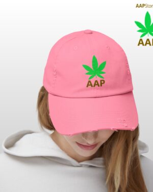 follow the program aap original aapstore.co logo distressed cap