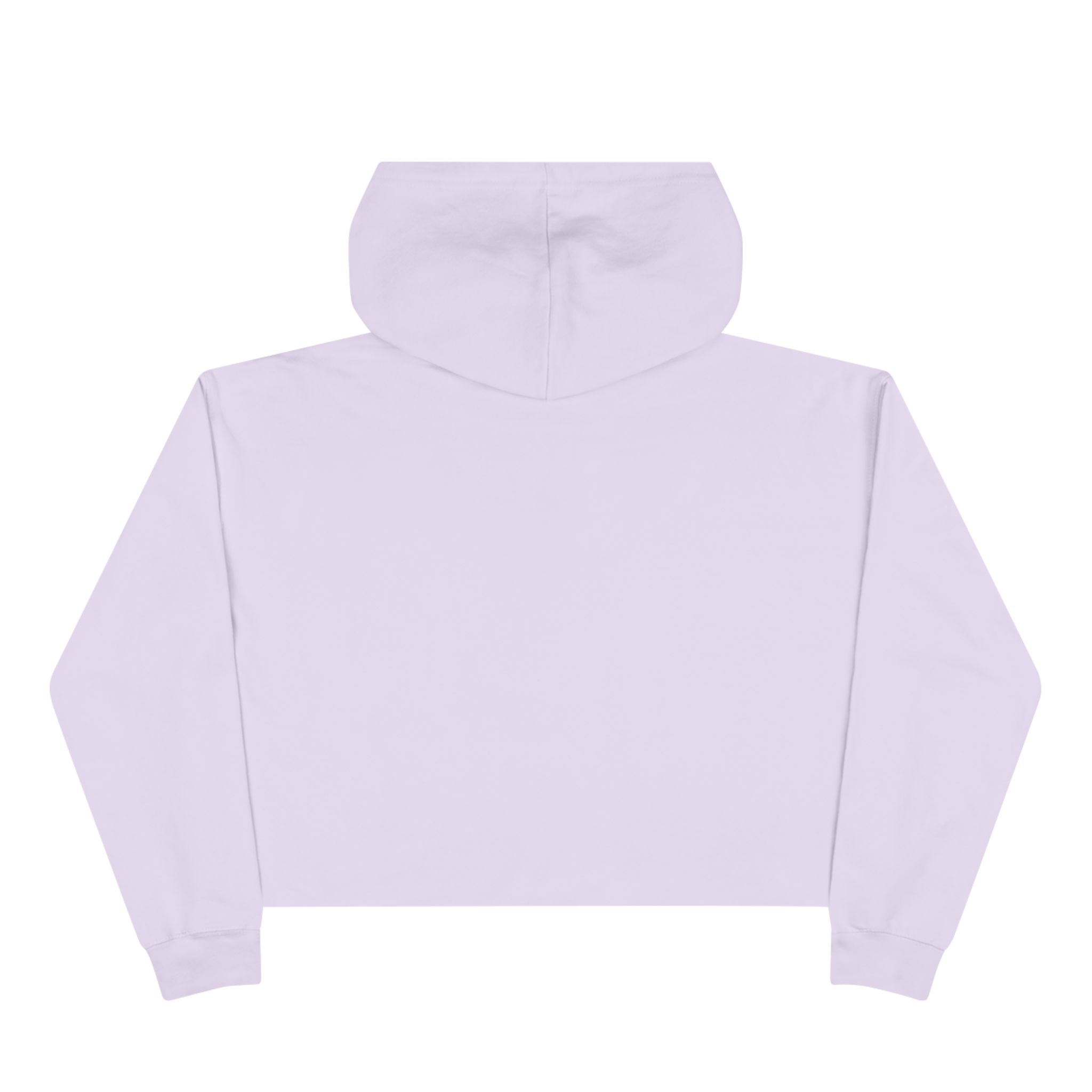 loner stoner crop hoodie