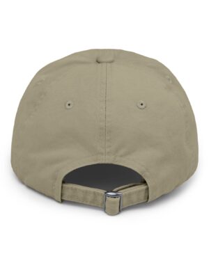 follow the program aap original aapstore.co logo distressed cap