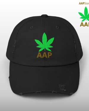follow the program aap original aapstore.co logo distressed cap