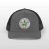 all day i dream about sativa snapback trucker cap