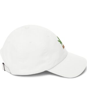 follow the program aap original aapstore.co logo classic dad cap