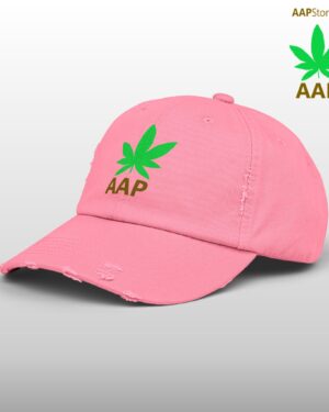 follow the program aap original aapstore.co logo distressed cap