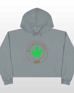 follow the program aap original crop hoodie