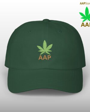 follow the program aap original aapstore.co logo classic dad cap