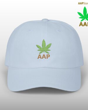 follow the program aap original aapstore.co logo classic dad cap