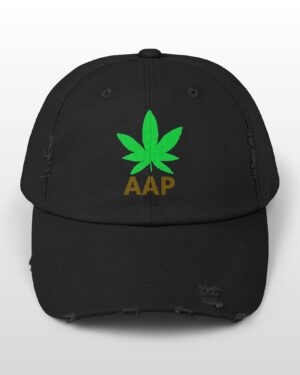 follow the program aap original logo distressed cap