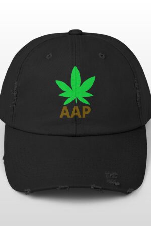 follow the program aap original logo distressed cap