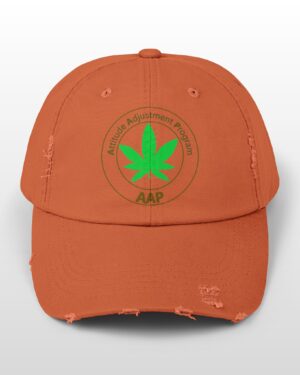 follow the program aap original distressed stoner cap