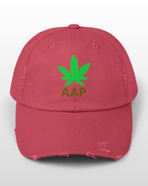 follow the program aap original logo distressed cap