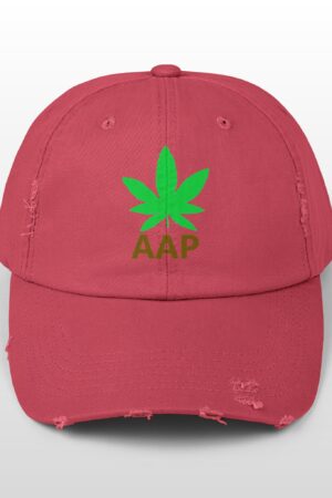 follow the program aap original logo distressed cap