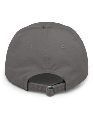 follow the program aap original aapstore.co logo distressed cap