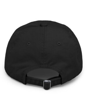 follow the program aap original aapstore.co logo distressed cap