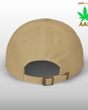 follow the program aap original aapstore.co logo classic dad cap