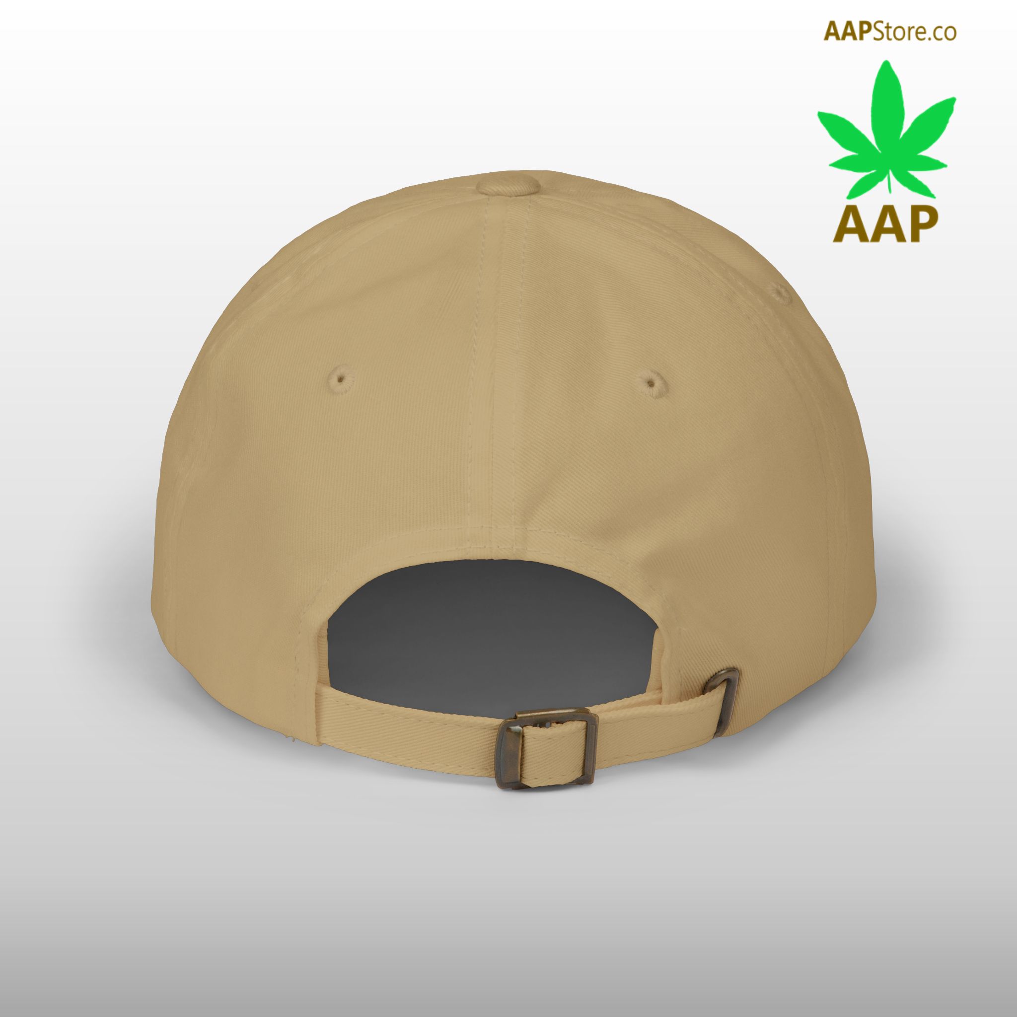 follow the program aap original aapstore.co logo classic dad cap