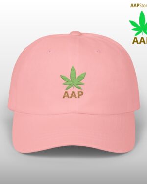 follow the program aap original aapstore.co logo classic dad cap