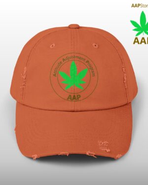 follow the program aap original distressed stoner cap