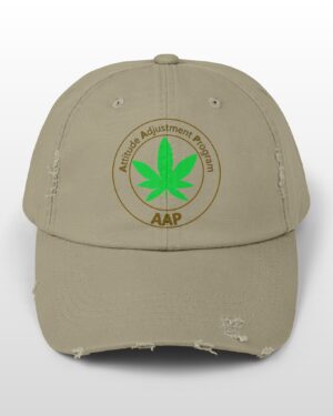 follow the program aap original distressed stoner cap