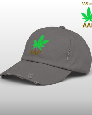 follow the program aap original aapstore.co logo distressed cap