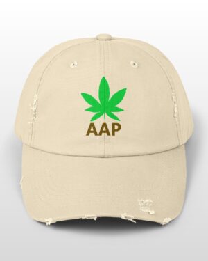 follow the program aap original logo distressed cap