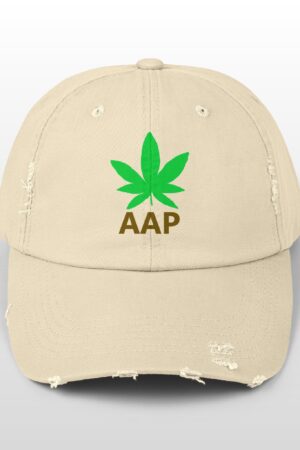 follow the program aap original logo distressed cap