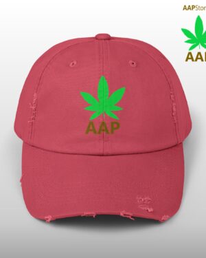 follow the program aap original aapstore.co logo distressed cap