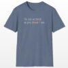 i'm not as think as you drunk i am funny drinking tee