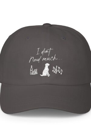 i don't need much funny wine drinking dad hat