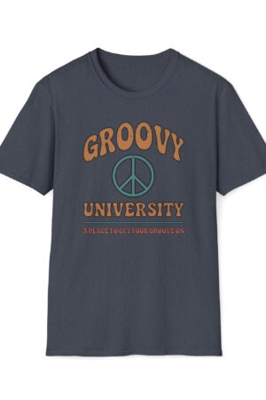 groovy university a place to get your groove on vintage tee