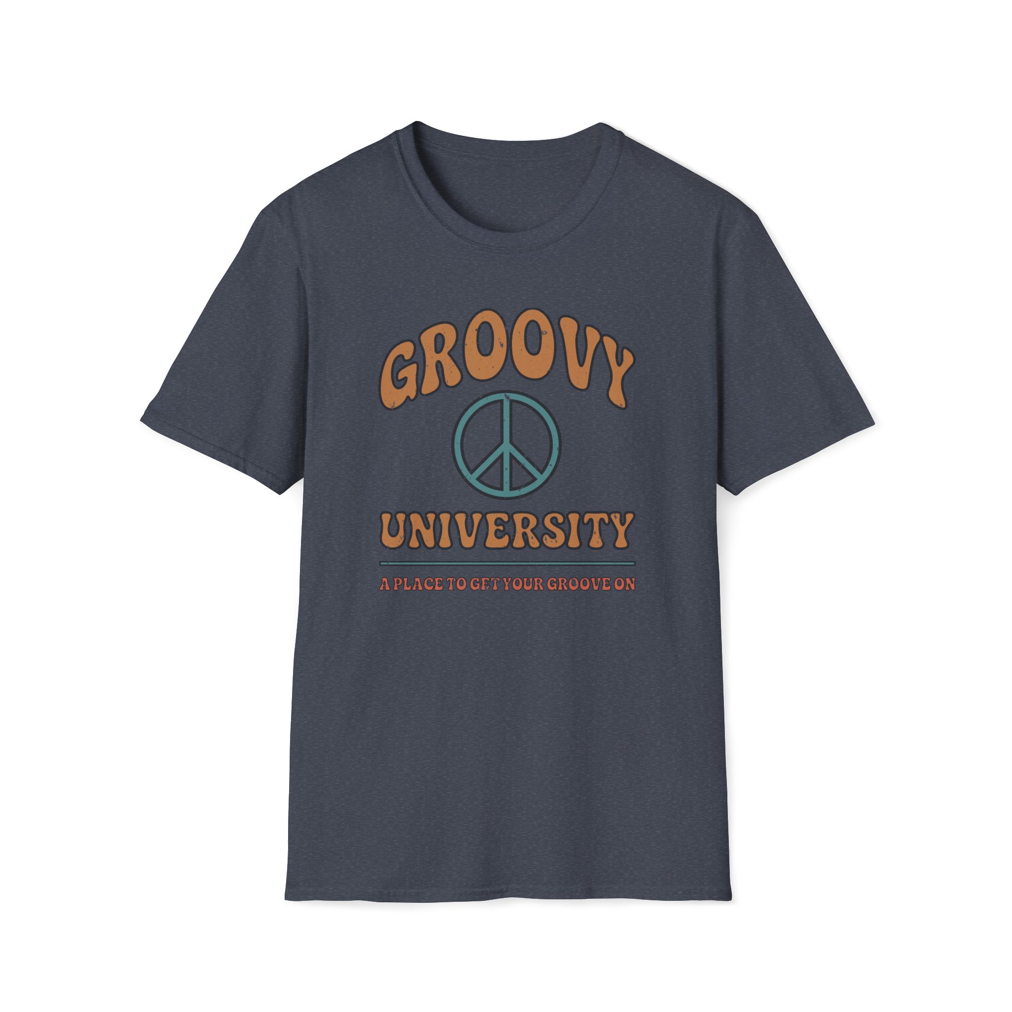 groovy university a place to get your groove on vintage tee