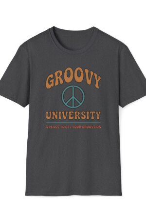 groovy university a place to get your groove on vintage tee