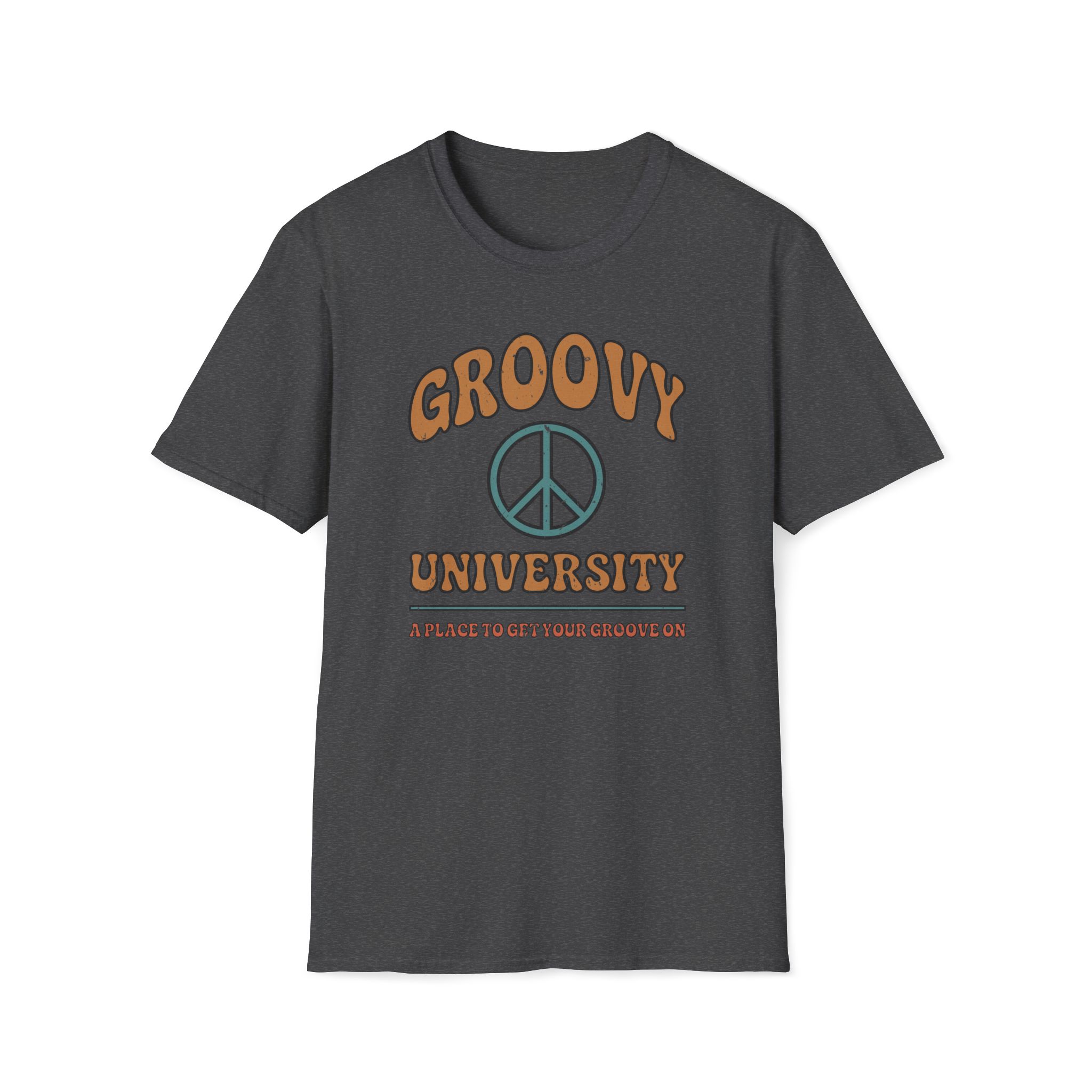 groovy university a place to get your groove on vintage tee